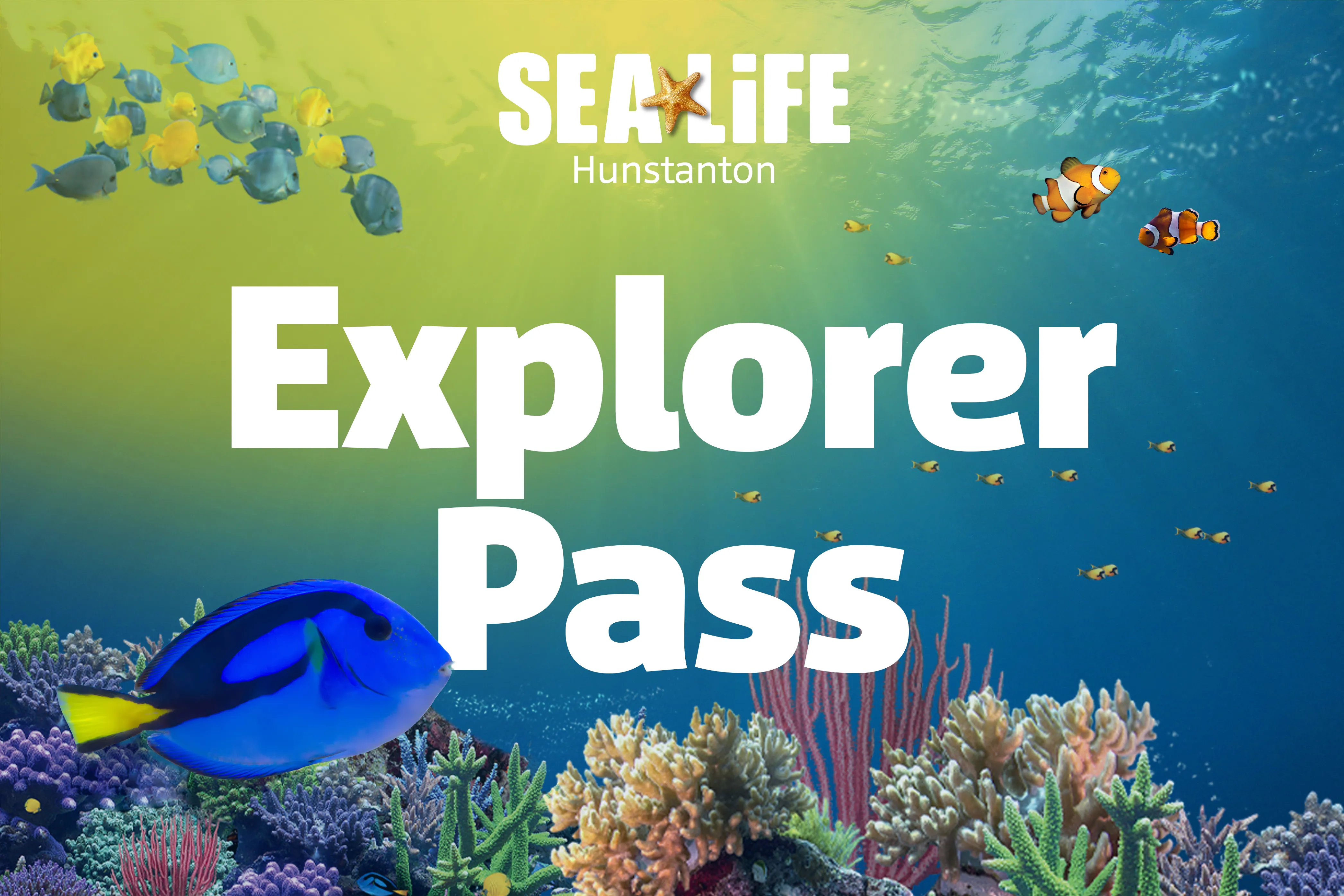 Explorer Pass Hunstanton