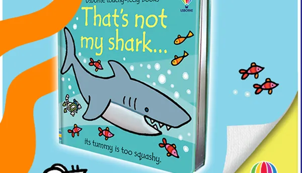 Usborne Hero Teacher Resource 742X688