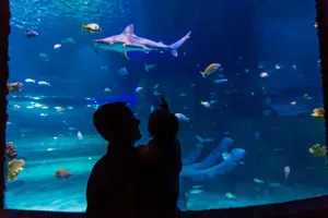 SEA LIFE Hunstanton Sleepover